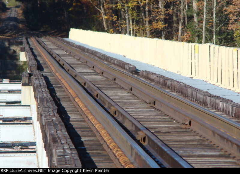 Pandrol clips on the bridge rail 